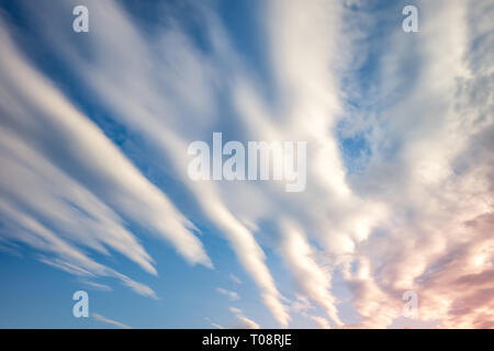 Cielo azzurro sfondo con piccolissima parentesi striped nubi in serata. Cancellazione di giorno e buon tempo ventoso Foto Stock