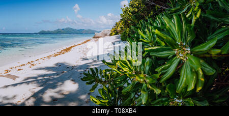 Anse Source d'Argent Paradise beach al mattino con la vista dell'Isola di Praslin sull orizzonte, La Digue alle Seychelles Foto Stock