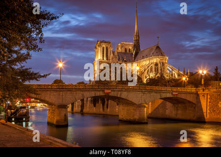 Twilight sulla Cattedrale di Notre Dame lungo il Fiume Senna, Parigi, Ile-de-France, Francia Foto Stock