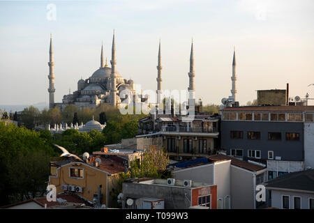 Türkei, Istanbul, Sultanahmet, Blick über Stadthäuser auf die Blaue Moschee Foto Stock