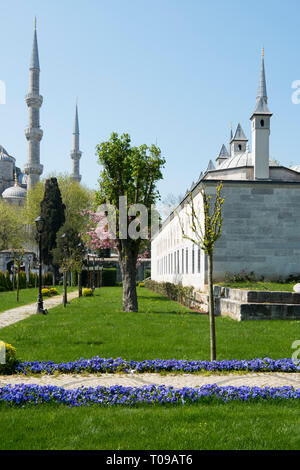 Türkei, Istanbul, Sultanahmet, Mausoleo von Sultan Ahmed I. links die Sultanahmet-Moschee Foto Stock