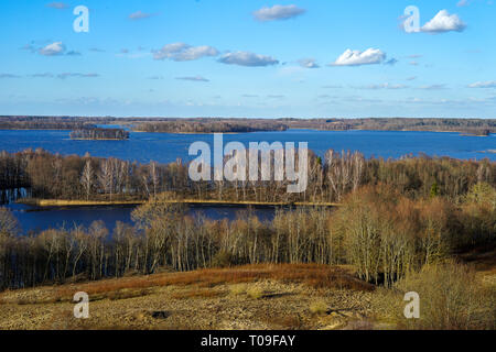 Inizio della primavera in Lituania. Vista dalla torre di avvistamento sulla soleggiata una serata al Lago Rubikiai nel quartiere Anykščiai comune, medio della Lituania. Foto Stock