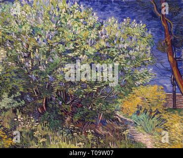 "Lilac Bush". Francia, 1889. Dimensioni: 73x92 cm. Museo: Membro Hermitage di San Pietroburgo. Autore: Vincent van Gogh . VINCENT VAN GOGH. Foto Stock