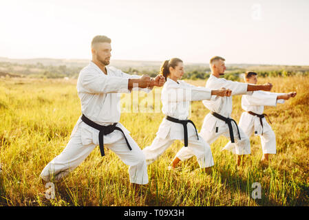 Gruppo di Karate con master in bianco kimono, allenamento nel campo estivo. Arte Marziale outdoor training, tecnica pratica Foto Stock