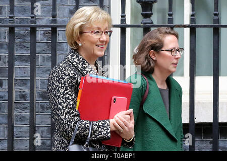 A Downing Street, Londra, UK 19 Mar 2019 - Andrea Leadsom - signore Presidente del Consiglio e il Leader della House of Commons (L) e la Baronessa Evans - signore Privy Seal e Leader della House of Lords (R) si diparte dal n. 10 di Downing Street dopo aver frequentato il settimanale riunione del gabinetto. Credito: Dinendra Haria/Alamy Live News Foto Stock