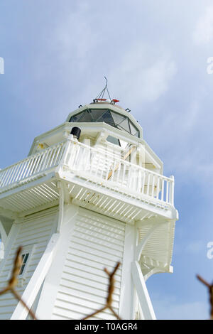 Moeraki struttura del faro a basso punto di vista composizione verticale Foto Stock