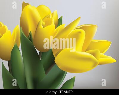 Tulipani gialli primavera card vettore. Bellissimo bouquet naturale Illustrazione Vettoriale