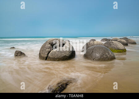 Moeraki Boulders sulla spiaggia Koekohe meraviglia naturale e di attrazione turistica sulla costiera di Isola del Sud della Nuova Zelanda Foto Stock