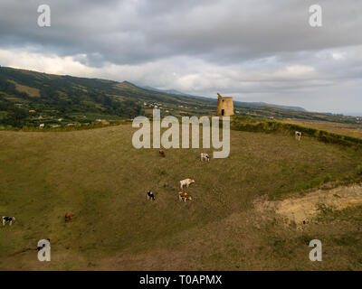 Drone vista del tipico paesaggio delle Azzorre coastal con mucche in un territorio rurale vista aerea. Una prospettiva aerea, antenna punto di vista panoramico. Il Portogallo tscenic desti Foto Stock