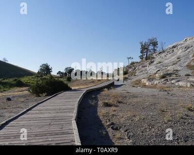 Ripresa a tutto campo della lunga serpeggiando boardwalk per i visitatori sono tenuti a utilizzare al Mammoth Hot Springs presso il Parco Nazionale di Yellowstone. Foto Stock