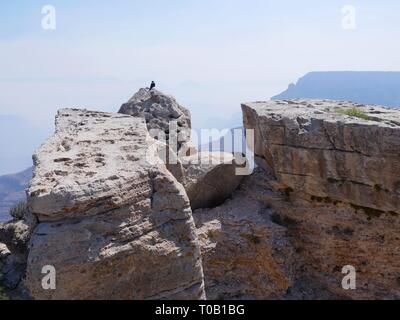 Enormi massi di pietre ai margini del versante sud del Grand Canyon in Arizona, con un piccolo uccello appollaiato su una roccia. Foto Stock