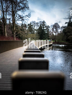 La Sackler Crossing in London Kew Gardens. Foto Stock