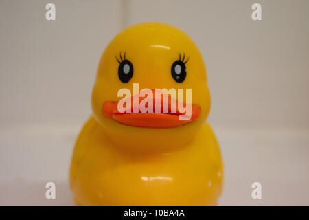 Rubber Duck Spazzola per unghie sul lavandino del bagno Foto Stock