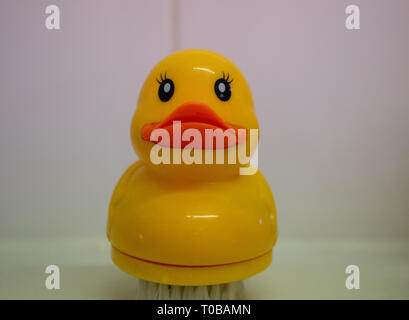 Rubber Duck Spazzola per unghie sul lavandino del bagno Foto Stock