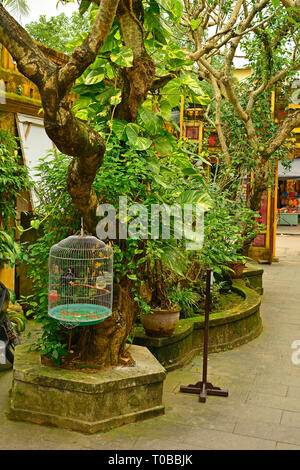 I motivi della Quan Am Pagoda nel centro storico UNESCO di cui centrale città vietnamita di Hoi An Foto Stock