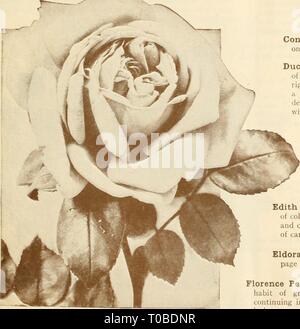 Dreer's garden prenota 1925 (1925) Dreer's garden prenota 1925 dreersgardenbook1925henr 0 Anno: 1925 Foto Stock