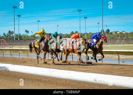 Vista del tratto finale per dei cavalli da corsa in esecuzione per la linea del traguardo al Rillito Park Race Track in Tucson, AZ Foto Stock