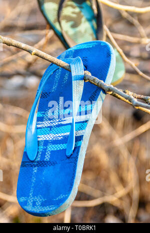 Vecchio perso, scartato flip flop sandali appesi per le loro cinghie in rami di albero in una naturale sul mare area riservata per il pubblico e per il tempo libero la fauna selvatica. Foto Stock