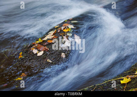 Close-up di acqua che scorre attorno e sopra le rocce in un flusso di bosco; Est Lyn River, Watersmeet, vicino Lynmouth, Parco Nazionale di Exmoor, Devon, Regno Unito. Foto Stock