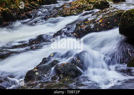 Close-up di acqua che scorre attorno e sopra le rocce in un flusso di bosco; Est Lyn River, Watersmeet, vicino Lynmouth, Parco Nazionale di Exmoor, Devon, Regno Unito. Foto Stock