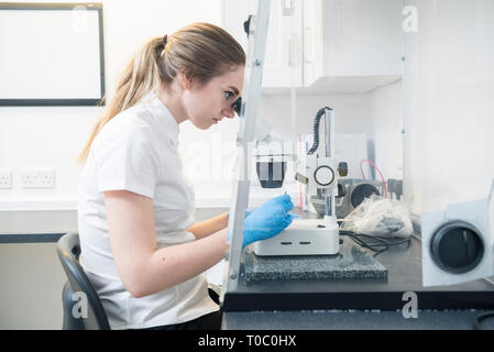 Una femmina di laboratorio professionale lavoratore utilizza un microscopio per esaminare un campione di controllo e test indossando un bianco Camicia manica corta e guanti Foto Stock