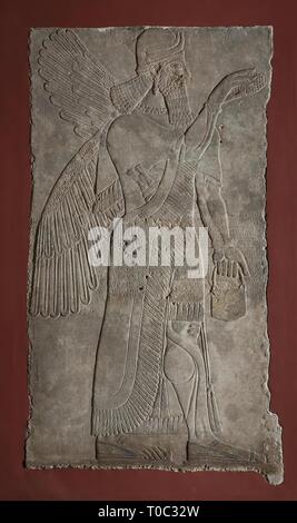 "Sollievo dal palazzo di Ashshurnatsirapal II che rappresenta una divinità prima di un albero sacro e un iscrizione cuneiforme'. A nord della Mesopotamia (Assiria, Kalhu, 883-859 A.C. Periodo Neo-Assyrian. Dimensioni: 240x132 cm. Museo: Membro Hermitage di San Pietroburgo. Foto Stock