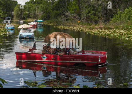 Amphicars nell'acqua la voce di fiume verso la Burrell Blocco di navigazione Su Haines Creek fiume in Leesburg, Florida USA Foto Stock