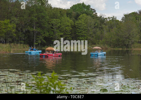 Amphicars nell'acqua la voce di fiume verso la Burrell Blocco di navigazione Su Haines Creek fiume in Leesburg, Florida USA Foto Stock