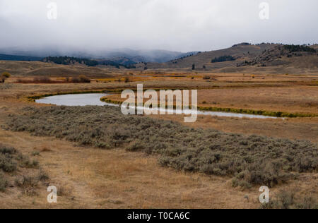 Il Lamar fiume che scorre attraverso la valle di Lamar in Nationl Yellowstone Park durante la stagione autunnale con nuvole di overhead. Foto Stock