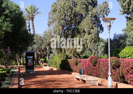 Cyber Park Arsat Moulay Abdeslam, Medina, Marrakech, regione Marrakesh-Safi, Marocco, Africa del nord Foto Stock