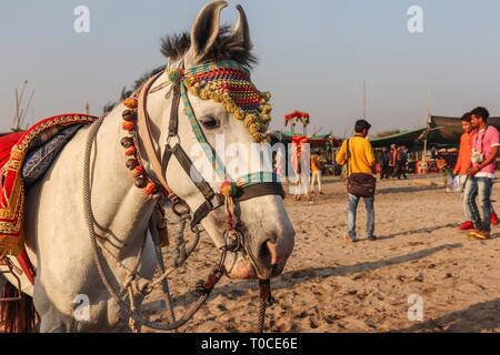 Turisti che si godono il loro tempo al tempio di Somnath beach/Somnath-Gujarat/India Foto Stock