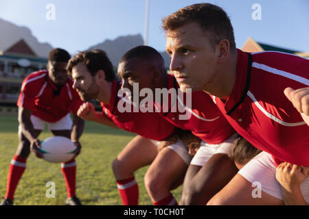 Maschio di giocatori di rugby giocando a rugby nel terreno Foto Stock