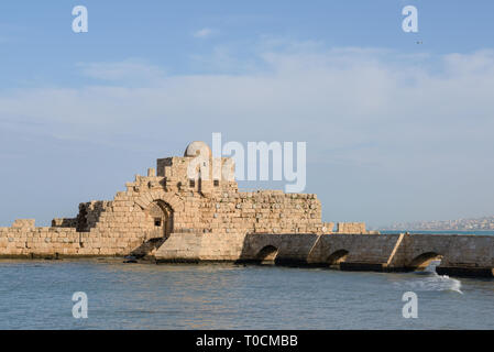 Saida (Sidone) Crusader Castello del Mare è una fortezza medievale costruire durante le crociate in Saida, Libano Foto Stock