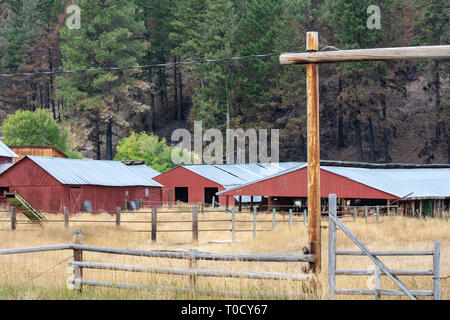 Il Lolo di incendi in Montana è stata un livello 1 fuoco che durava da agosto-settembre 2013 e ha causato distruzione massiccia. Esso è stato causato da un fulmine su agosto 18 in condizioni di asciutto. Foto Stock