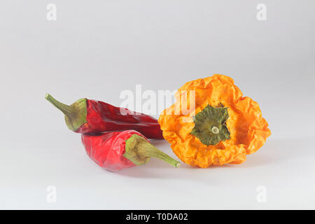 Peperoncino rosso e giallo habanero su sfondo bianco Foto Stock