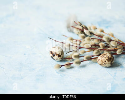 Uova di quaglia e piume con i rami di salici su uno sfondo blu. Vacanze di Pasqua concetto. Foto Stock