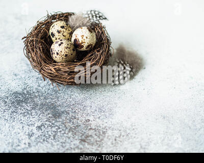 Nido con uova di quaglia e piume su sfondo grigio. Vacanze di Pasqua concetto. Spazio di copia Foto Stock