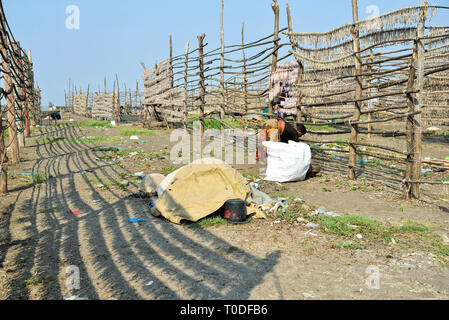 La donna pesce di asciugatura sulla spiaggia, pardi, Valsad, Gujarat, India, Asia Foto Stock