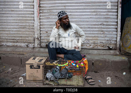 Piccioni in gabbia per la vendita, piccioni mercato, Pune, Maharashtra, India, Asia Foto Stock