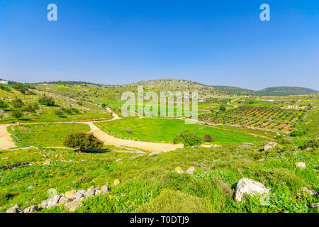 Bassa Galilea paesaggio, visto dal Yodfat, nel nord di Israele Foto Stock