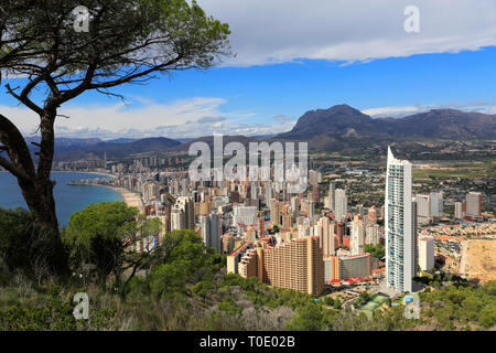 Il Don Jorge appartamento di vacanza blocco, località di Benidorm, Costa Blanca, provincia di Valencia, Spagna, Europa Foto Stock