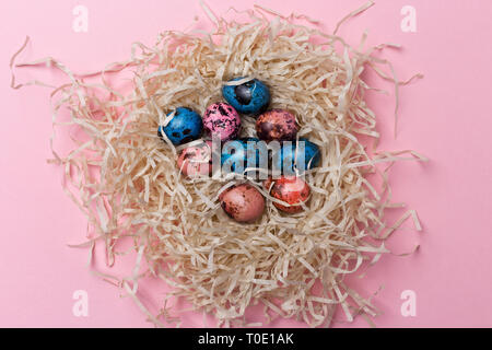 Pasqua multicolori uova di quaglia nel nido su sfondo rosa. Vicino la nozione di Pasqua sfondo, laici piatta Foto Stock