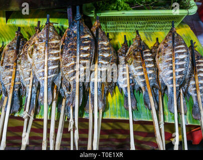 Close up essiccato spiedini di pesce di notte street market alimentare, Luang Prabang, Laos, SE Asia Foto Stock