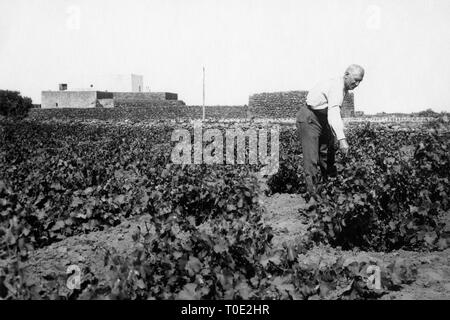 L'Europa, Italia, Sicilia, Pantelleria, un agricoltore nel campo, 1930-40 Foto Stock