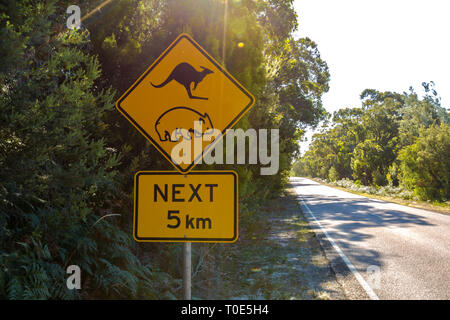 Segnale di avvertimento per il canguro e wombat attraversamento su strada Austalian. Foto Stock