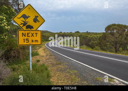 Segnale di avvertimento per la fauna selvatica attraversamento su strada australiano: canguri, koala e uccelli, wombats Foto Stock