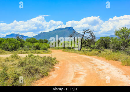 Strada di sabbia con cielo nuvoloso, Camdeboo Parco Nazionale d'estate, situato nel Karoo che avvolge quasi completamente la città di Graaff-Reinet Foto Stock