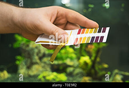 Maschio di mano azienda test PH di fronte all'acquario di acqua dolce. Foto Stock