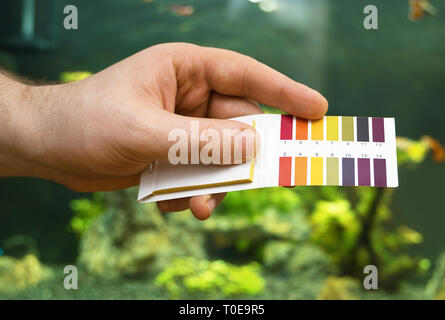 Maschio di mano azienda test PH di fronte all'acquario di acqua dolce. Foto Stock