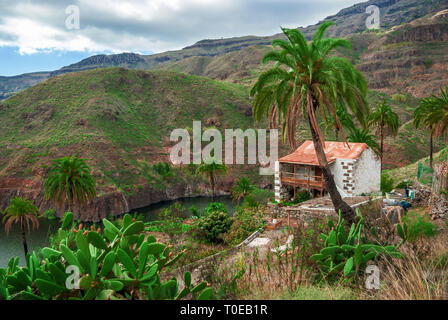 Piccola casa sul lago tra le Montagne verde con alberi di palma Foto Stock